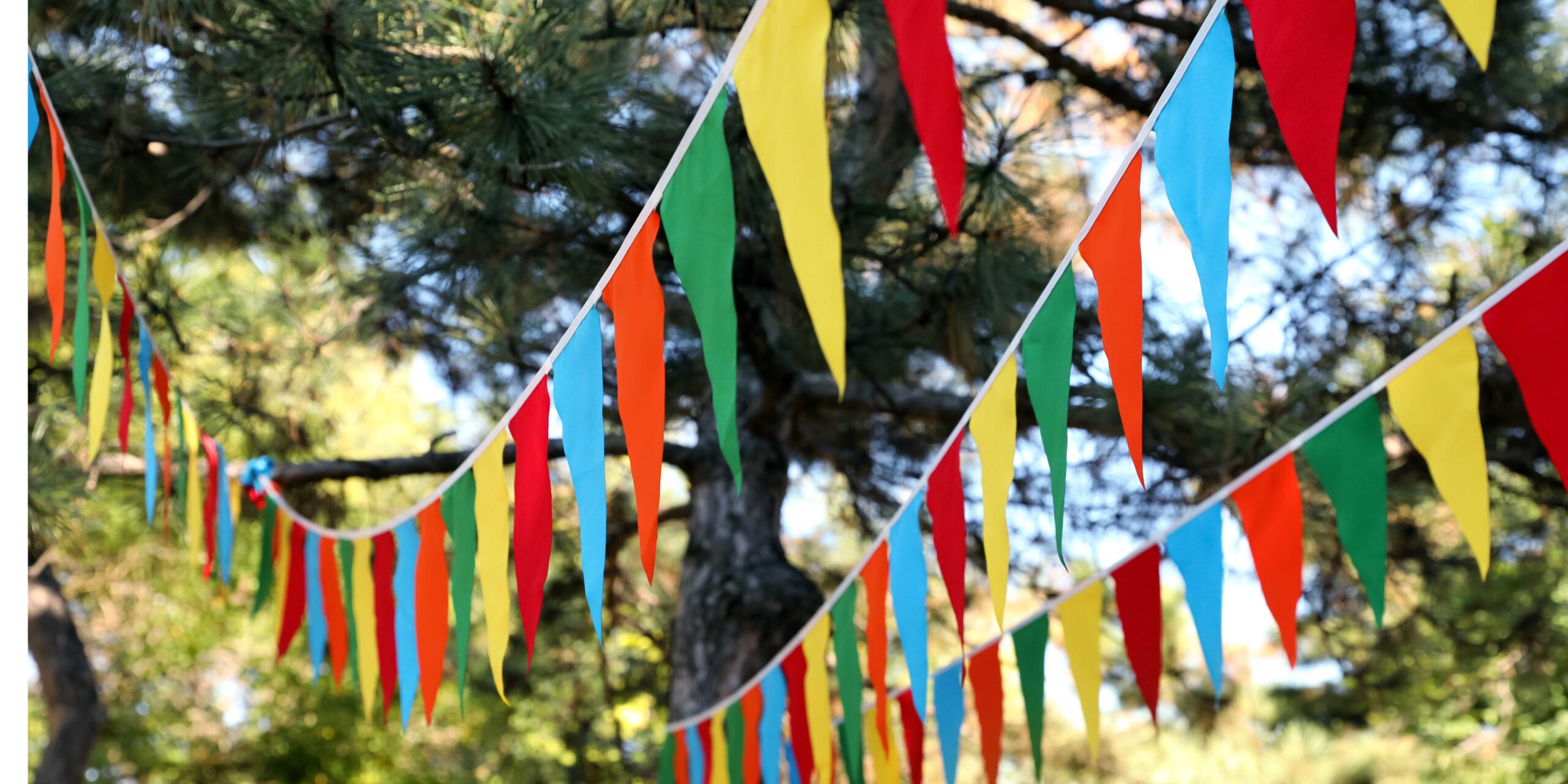 CCDT Community Day Celebration